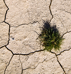 Similar image 10848075