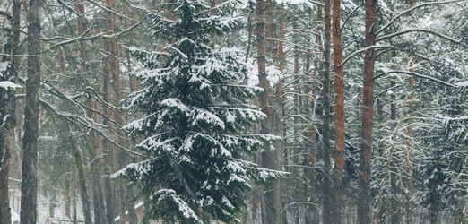 Similar image 10848129