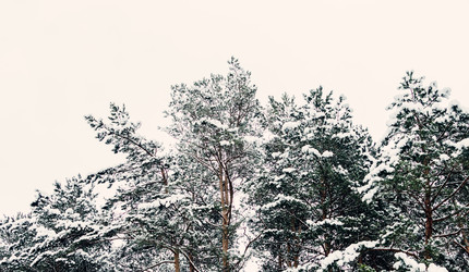 Similar image 10848131