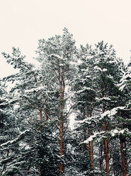 Similar image 10848132