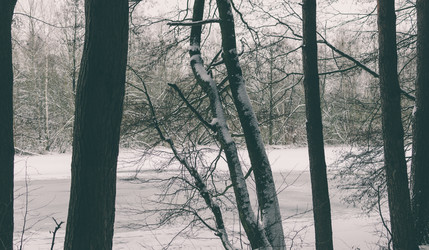 Similar image 10848136