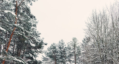 Similar image 10848139