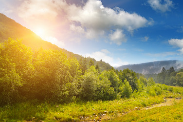 Similar image 10848153