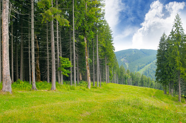 Similar image 10848157