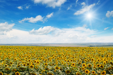 Similar image 10848172