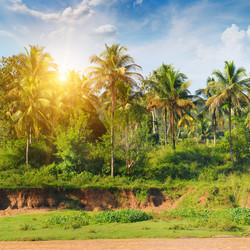 Similar image 10848181