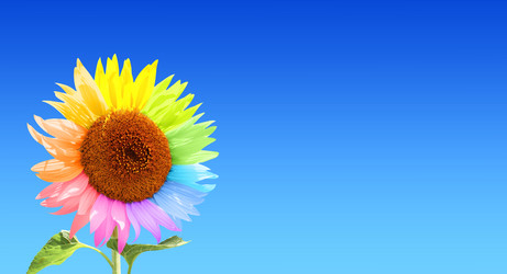 Similar image 10848198