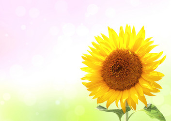 Similar image 10848210