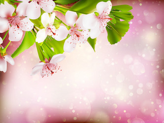 Similar image 10848250