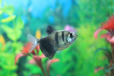 Similar image 10849844