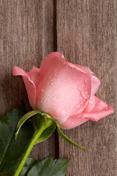 Similar image 10849971