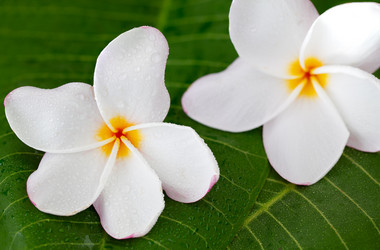 Similar image 10849990