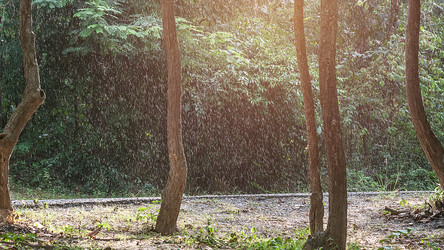 Similar image 10850101