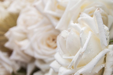 Similar image 10850111