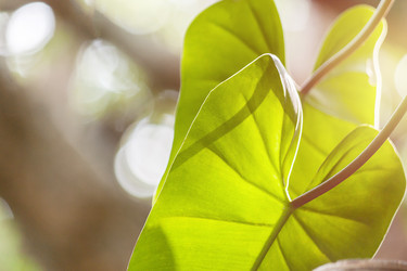 Similar image 10850113