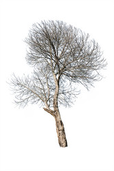 Similar image 10850114