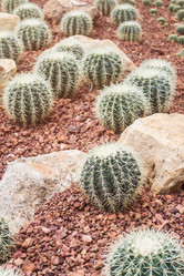 Similar image 10850126