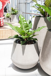 Similar image 10850168