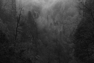 Similar image 10850395