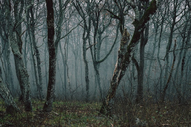 Similar image 10850462