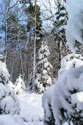 Similar image 10850575