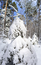 Similar image 10850576