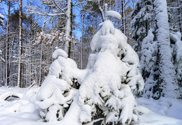 Similar image 10850577