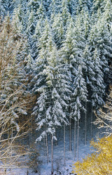 Similar image 10850595