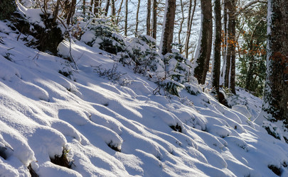 Similar image 10850598