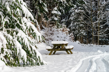 Similar image 10850603