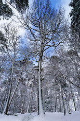 Similar image 10850610