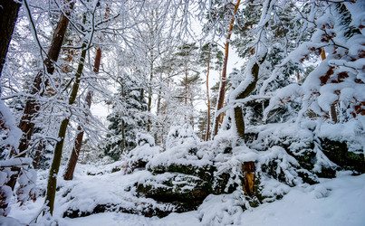 Similar image 10850613