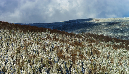 Similar image 10850616