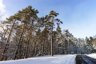 Similar image 10850657