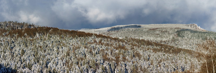 Similar image 10850660