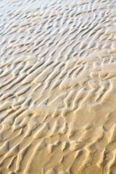 Similar image 10850999