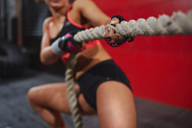 Similar image 10851474