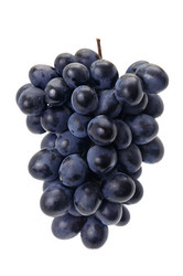 Similar image 10851565