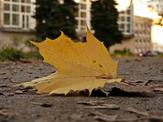 Similar image 10851572