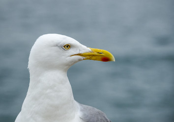 Similar image 10851575