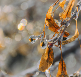 Similar image 10851576