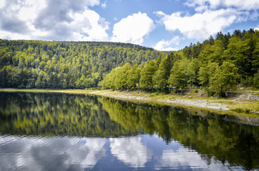 Similar image 10851577