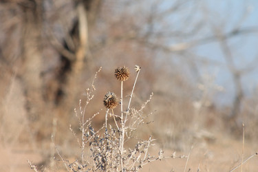 Similar image 10851578