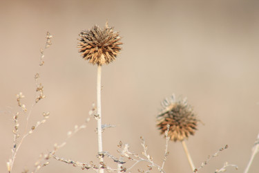 Similar image 10851579