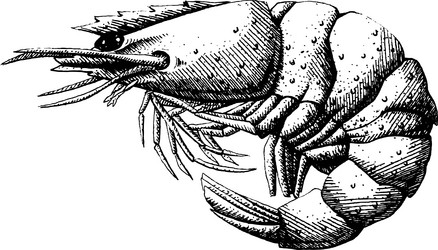 Similar image 10851582