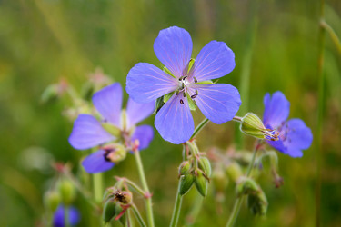 Similar image 10851584