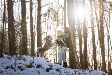 Similar image 10851687