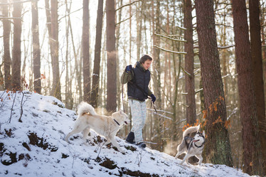 Similar image 10851689