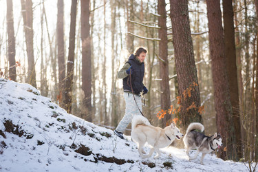 Similar image 10851690