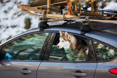 Similar image 10851692